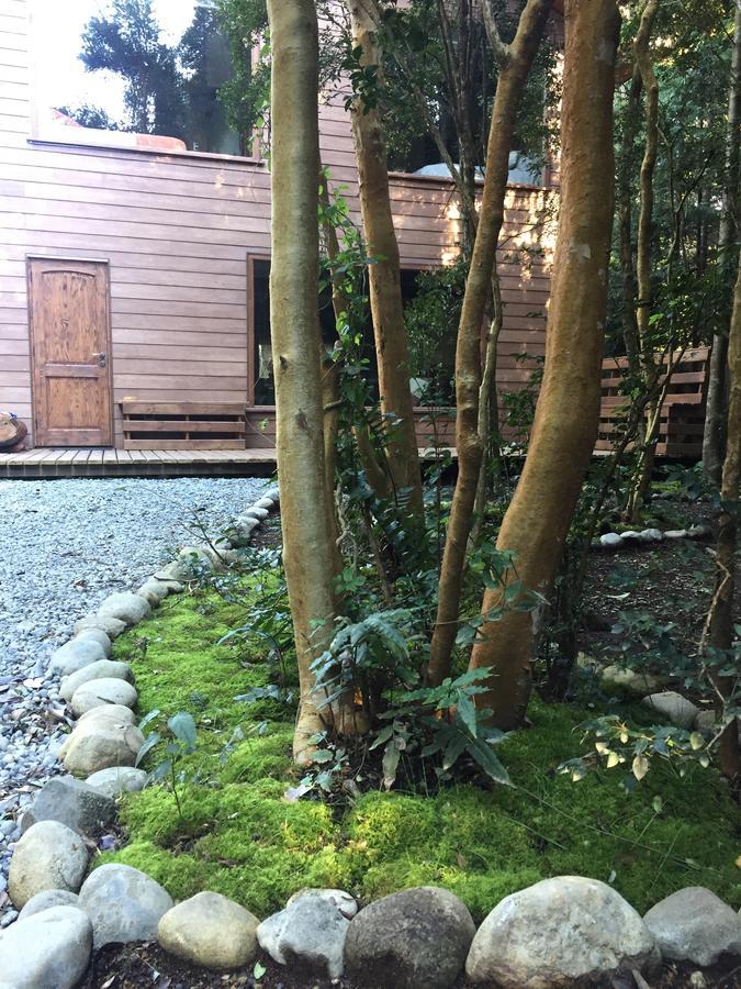 Vila Dreamwoods Puerto Varas Exteriér fotografie